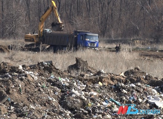 В Волгоградском регионе контроль за мусором будут осуществлять всем миром